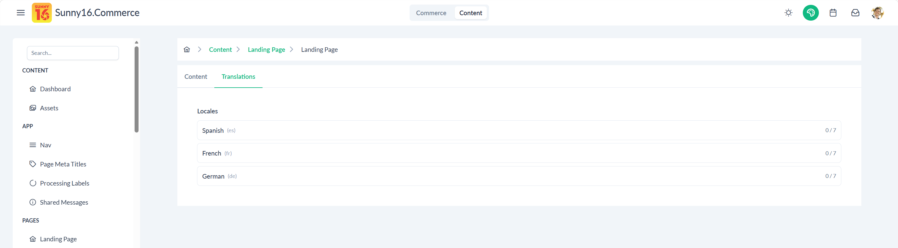 Sunny16 CMS translation management